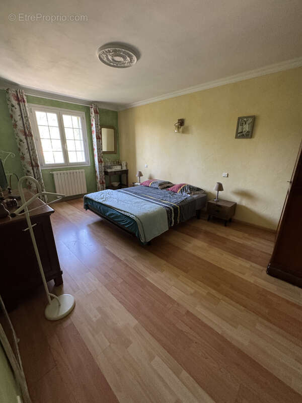 Venaco, villa d'exception à 10 min de Corte - photo 19
