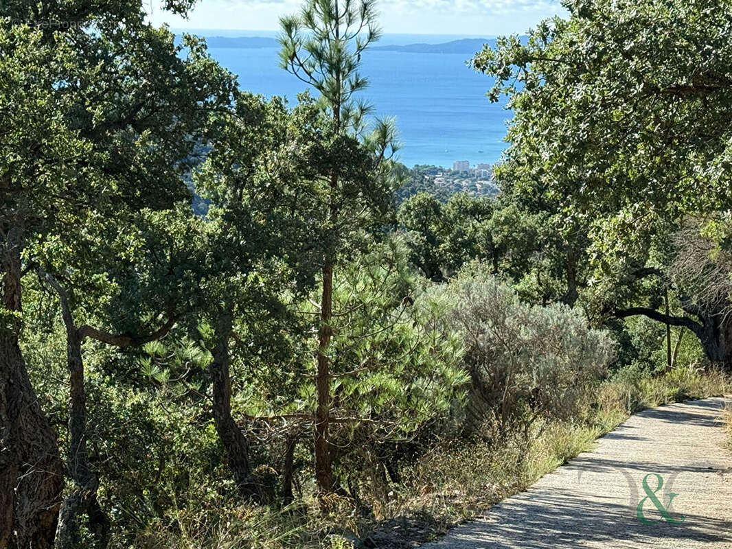 Maison à BORMES-LES-MIMOSAS