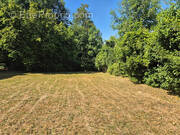 Terrain à PALAISEAU