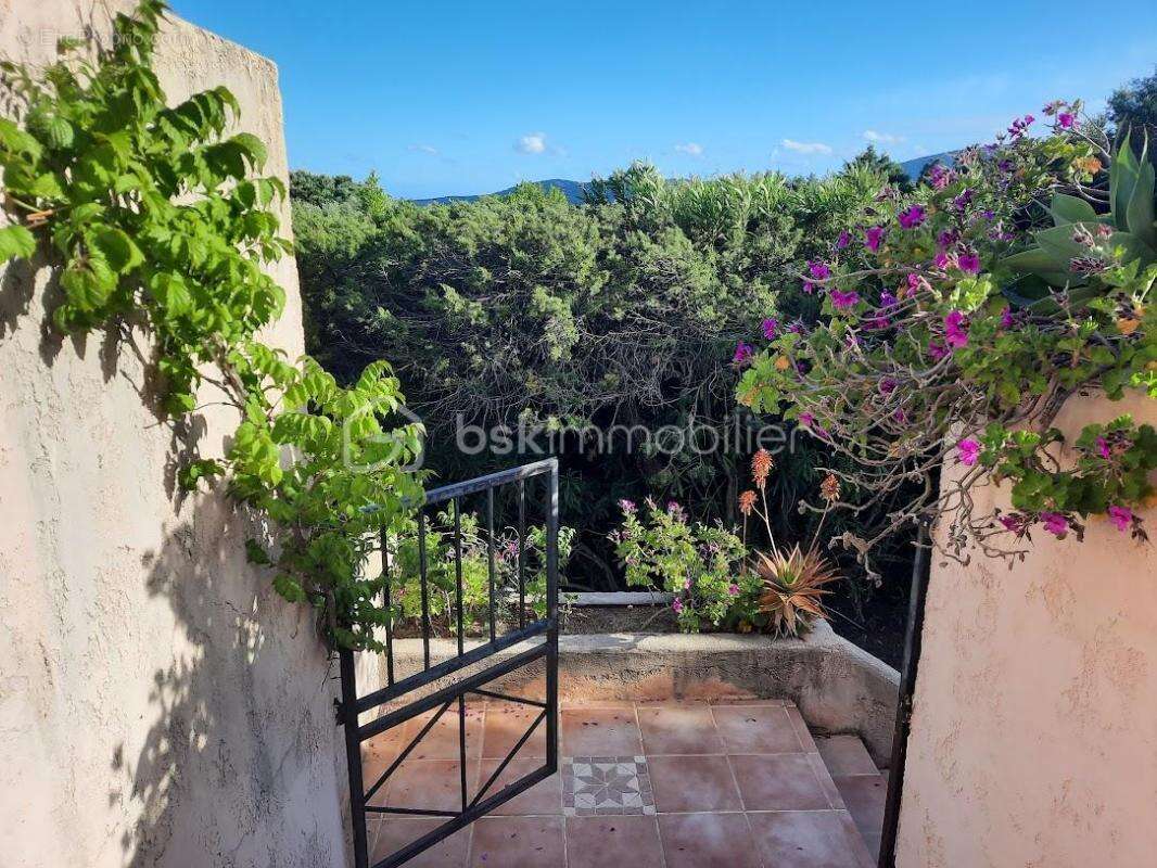 Villa face à la mer - Domaine privé de Cala Rossa - photo 6
