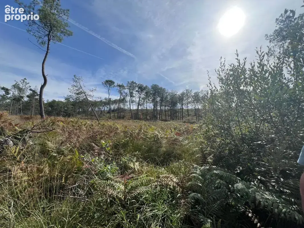 À vendre – argol – finistère – presqu’île de crozon-exceptionnel terrain de loisirs de 40 000 m² - photo 6