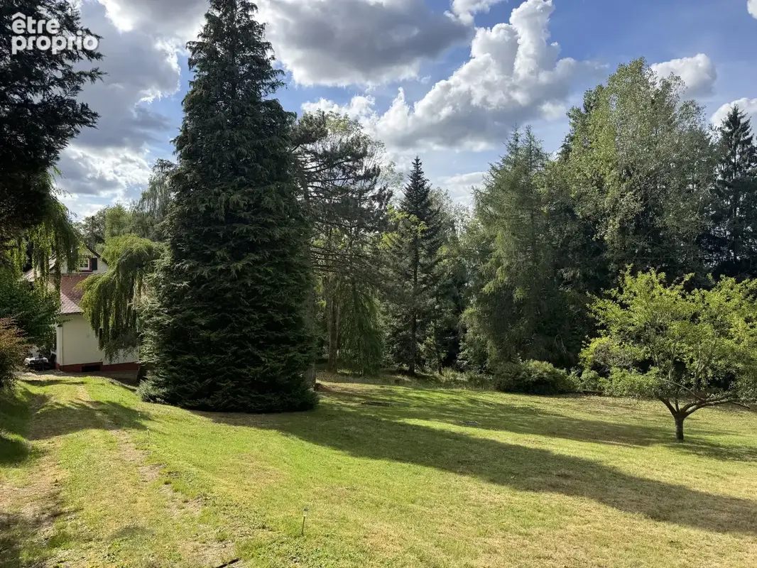 Belle Maison + dépendances sur 1,8 hectares - photo 19
