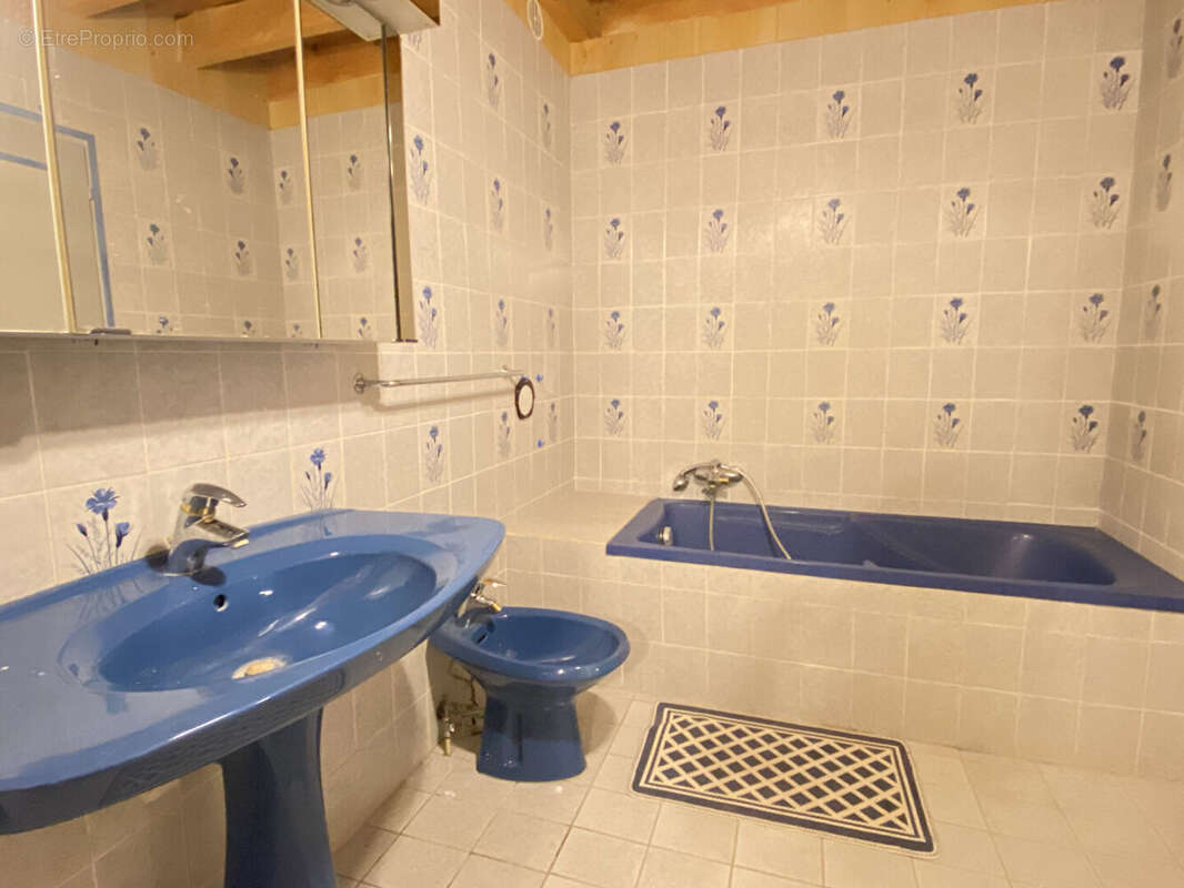 Maison à INJOUX-GENISSIAT