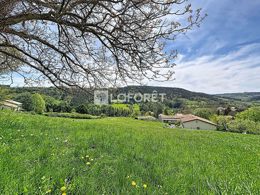 Terrain à POLIGNAC