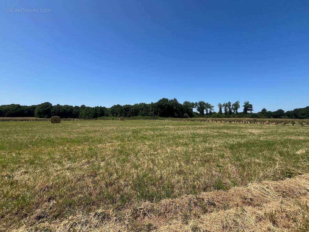 Terrain à LA ROCHELLE