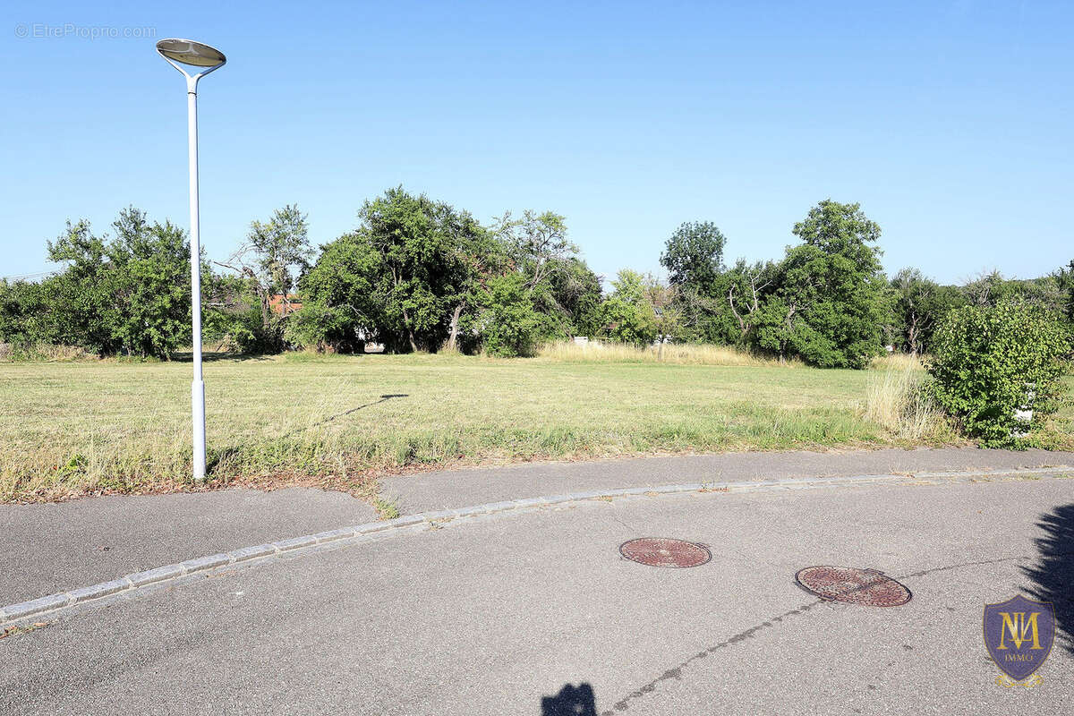 Ranspach-le-haut au calme terrain constructibles de 7,05 ares - photo 3