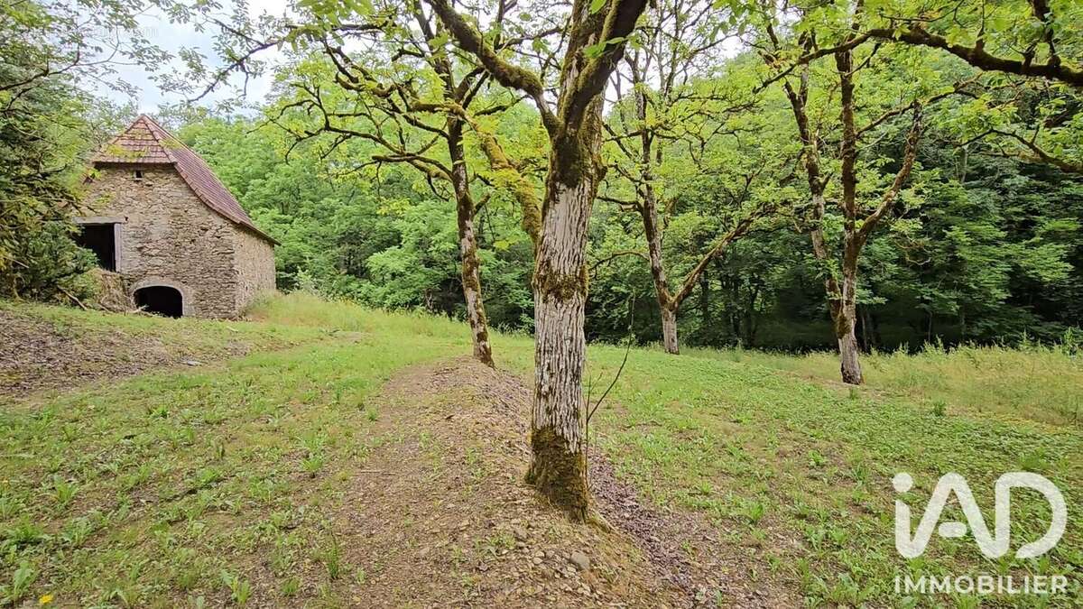 Maison 40 m² à Altillac  - photo 7