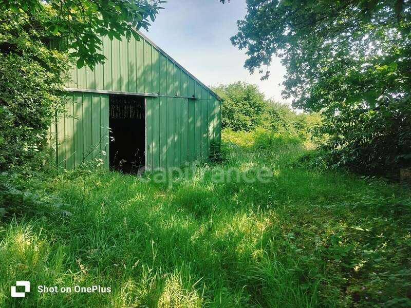 Propriété de caractère à berrien - hangar - 6 hectares - photo 11