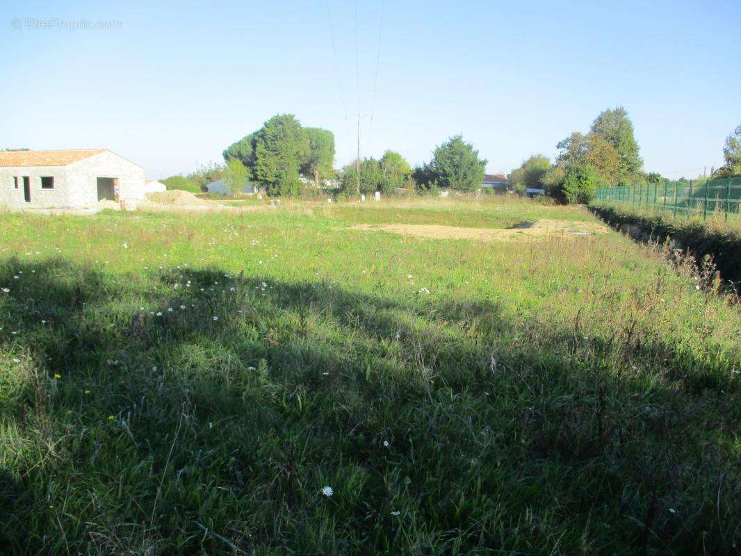 Terrain à SAINTE-FOY