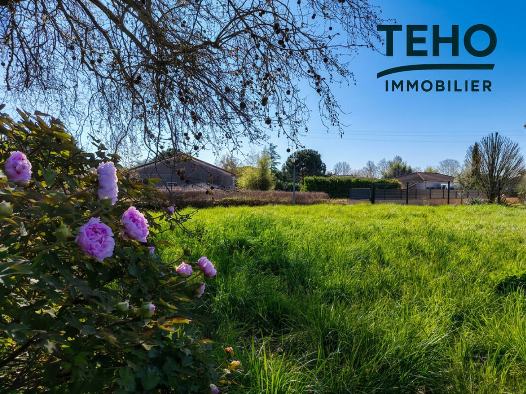 Terrain à COUFOULEUX