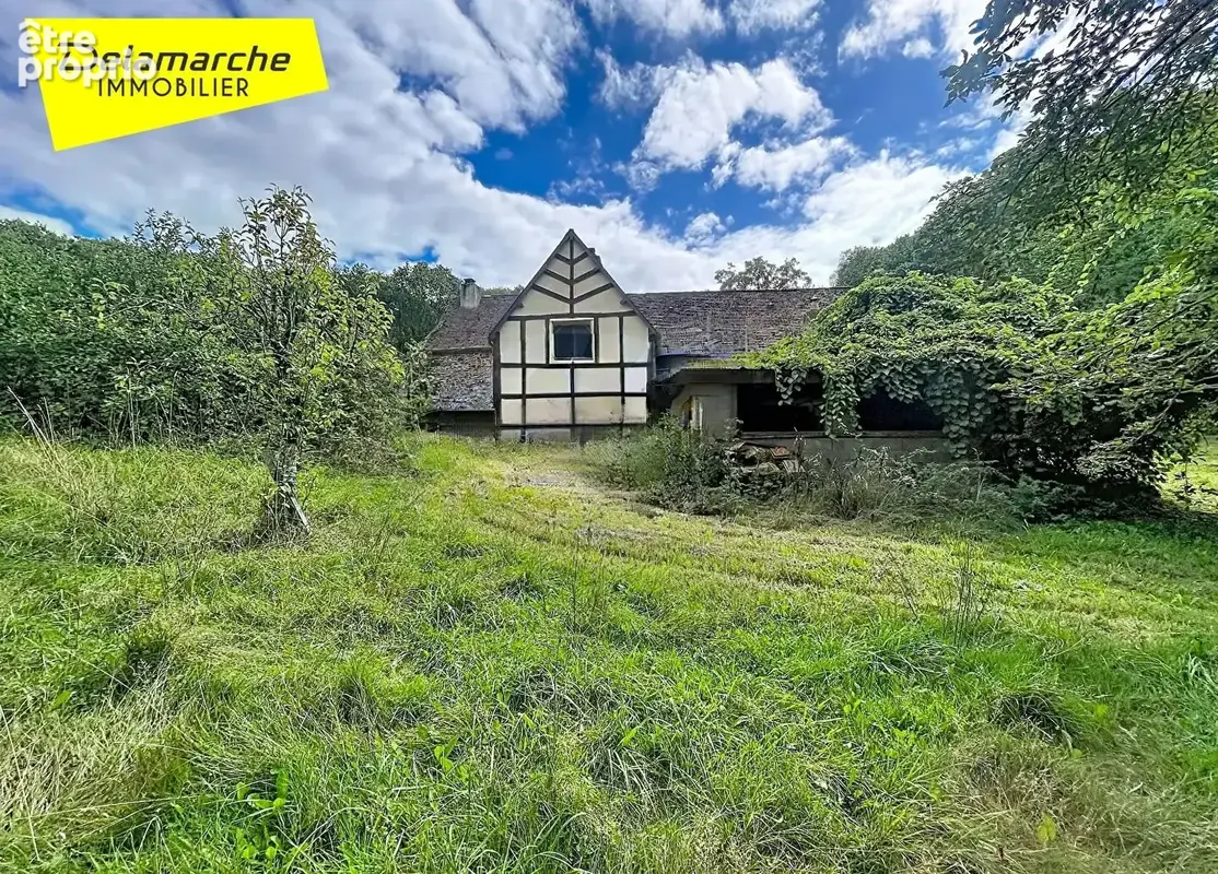 A VENDRE PROCHE BRECEY Maison de campagne atypique de 5 pièces 4257 m² de terrain dans un cadre plein de charme - photo 2