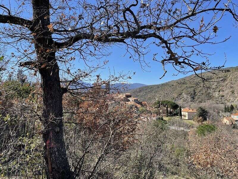 Terrain à MARQUIXANES