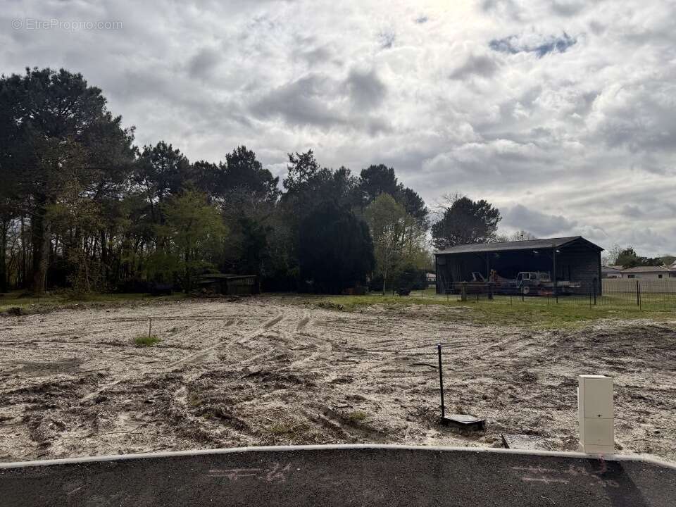 Terrain à SAINT-AUBIN-DE-MEDOC