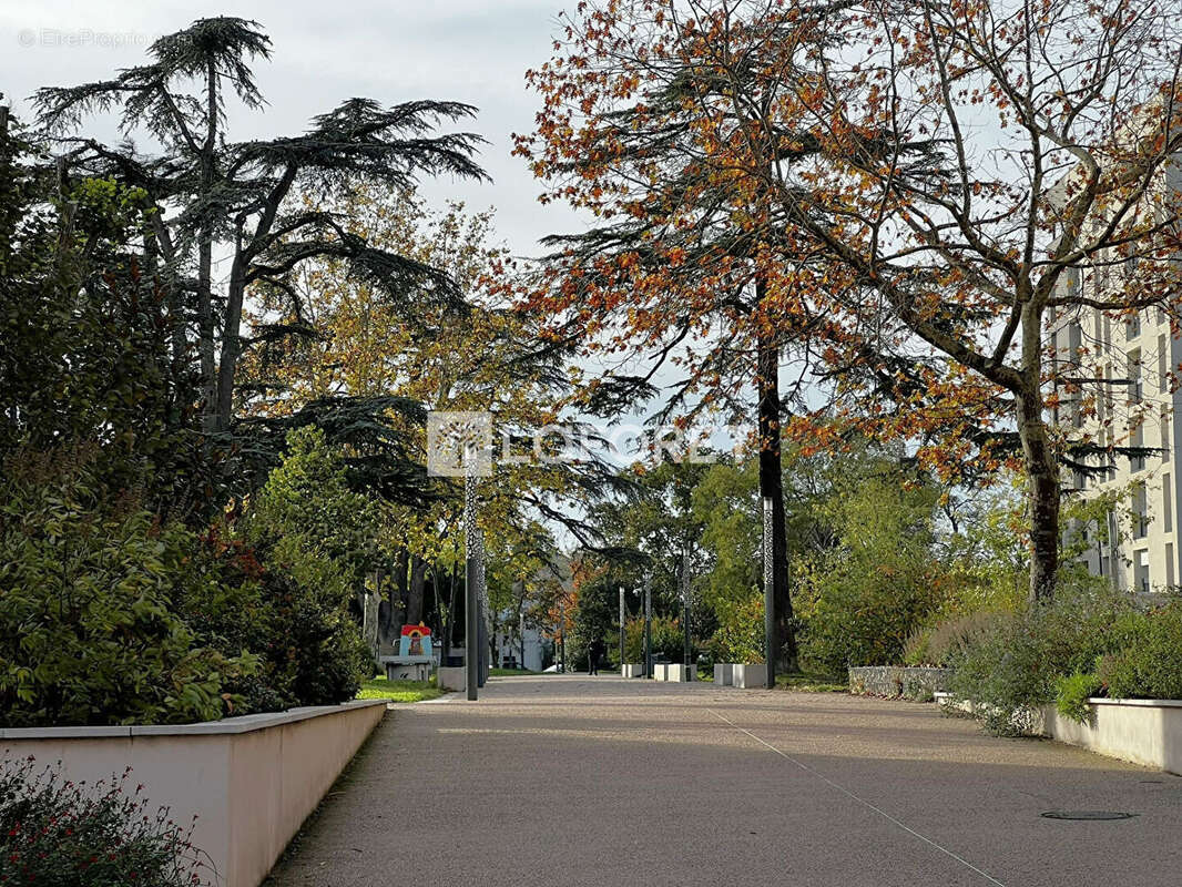 Appartement à COLOMIERS