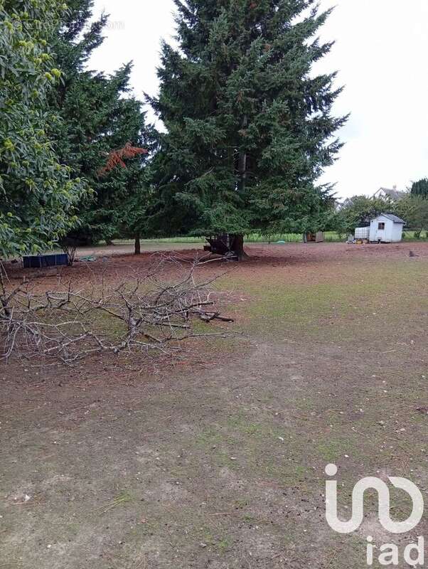 Photo 7 - Maison à CHATEAU-RENAULT