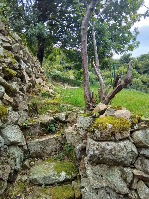 Maison à ANTRAIGUES-SUR-VOLANE