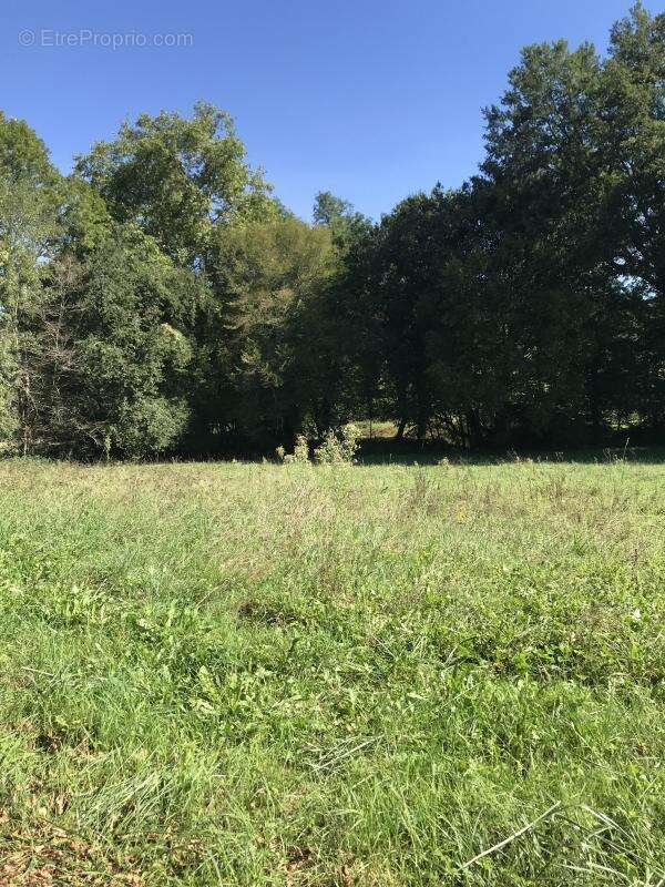 Terrain à MALEMORT-SUR-CORREZE
