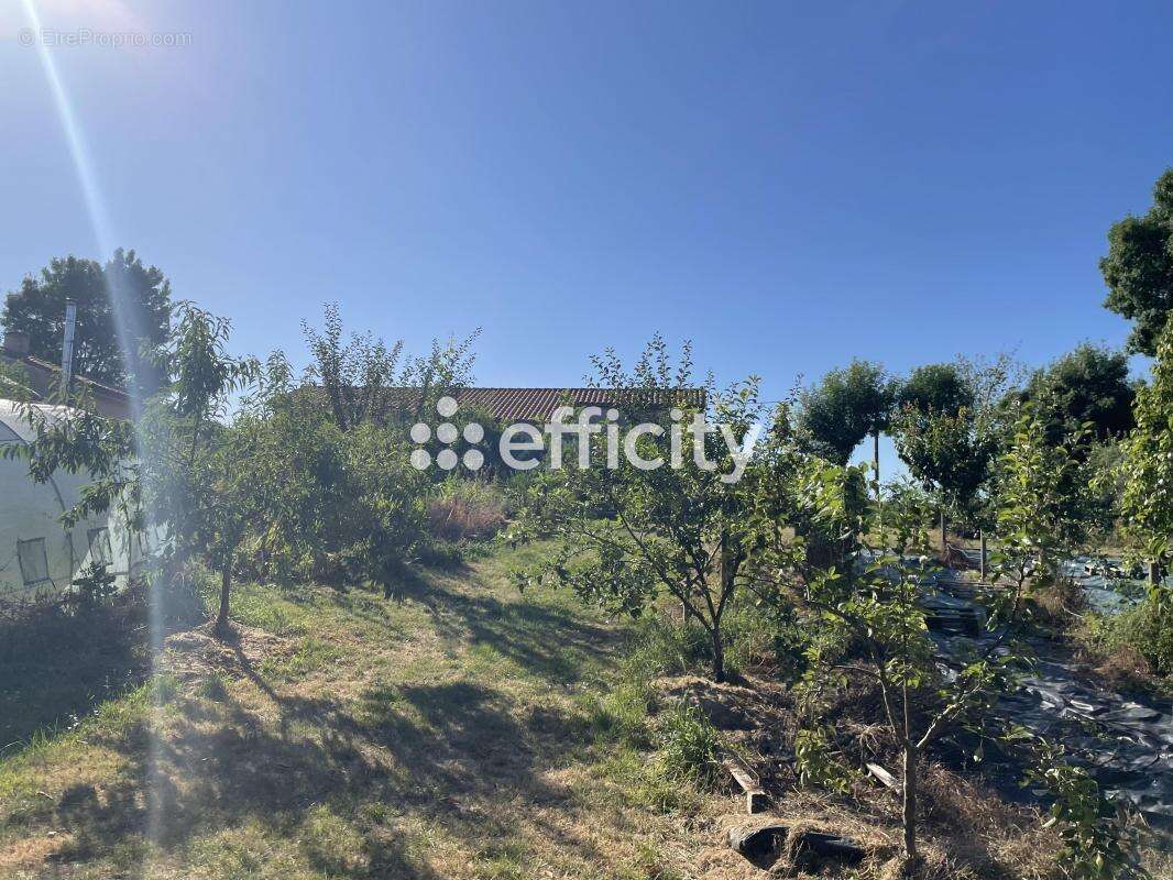 Maison à AUGE-SAINT-MEDARD