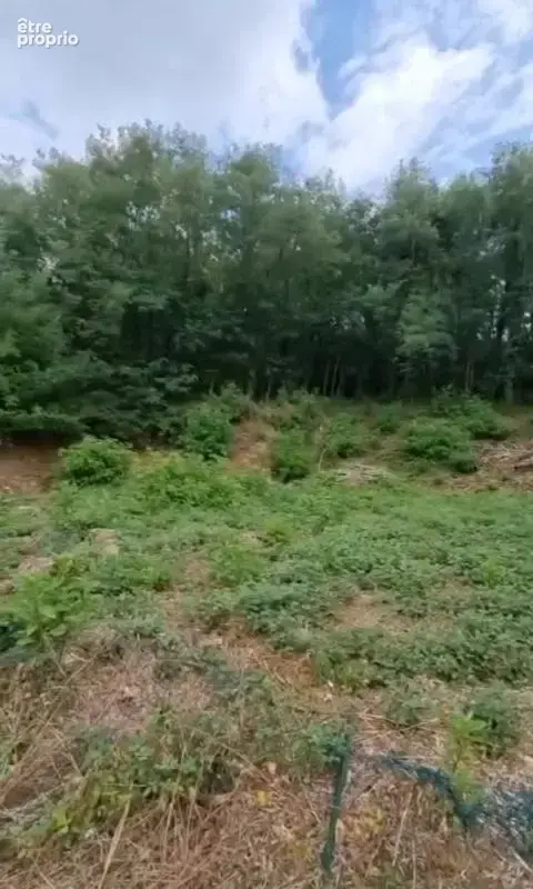 Brive la gaillarde - Proche centre ville - Terrain Constructible - photo 8