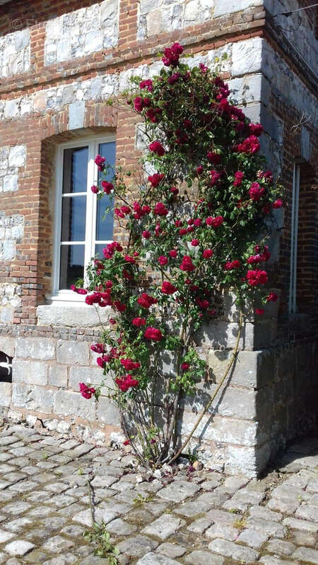 Maison à DOUDEVILLE
