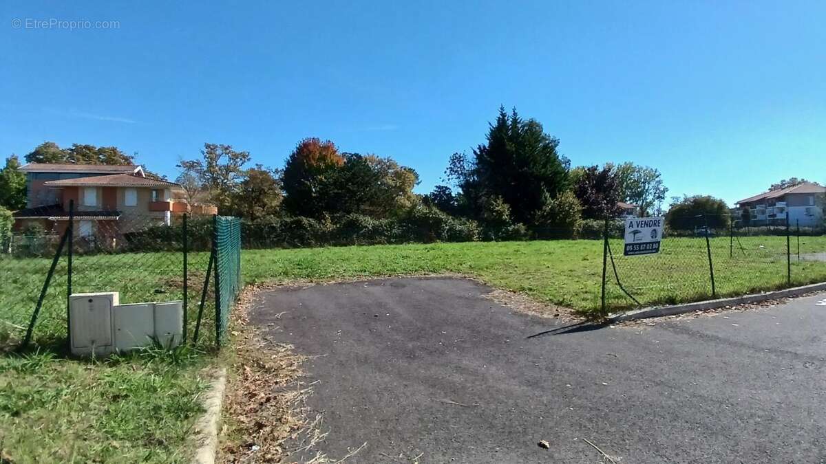 Terrain à DAX