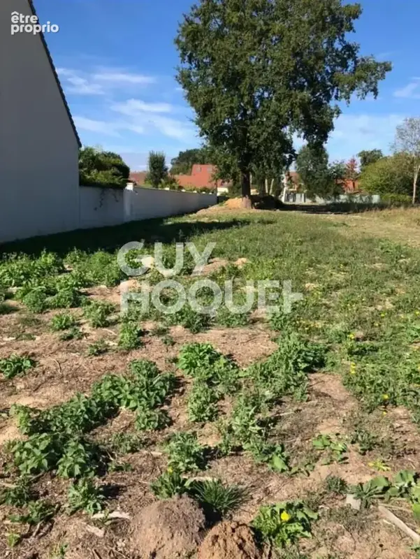 Photo Terrain à Favieres au prix de 225 000€