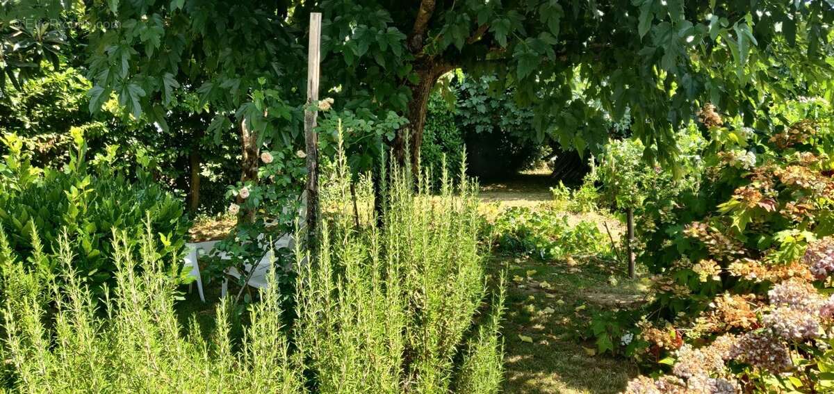 Maison de plain-pied, garage et jardin à vendre à Rioux (17) - photo 42