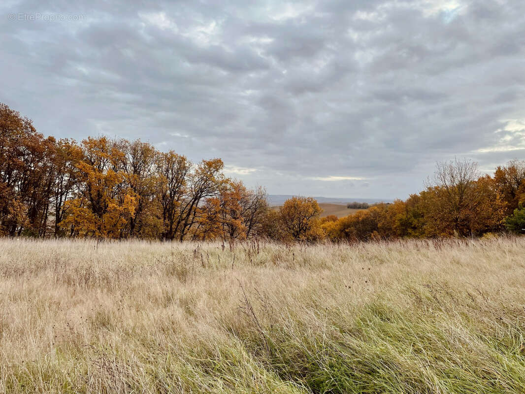 Terrain à LAMOTHE-CUMONT