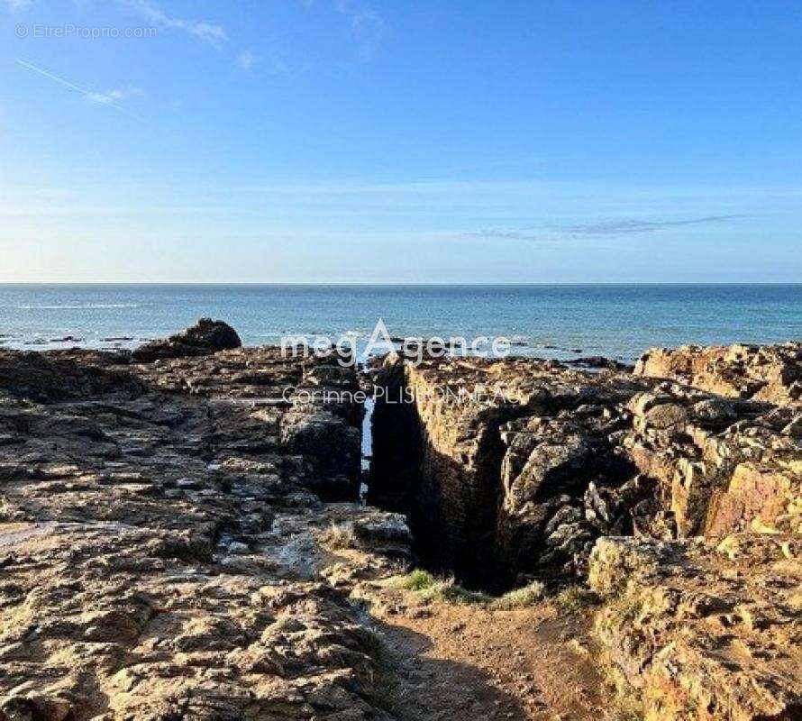Terrain à LES SABLES-D&#039;OLONNE