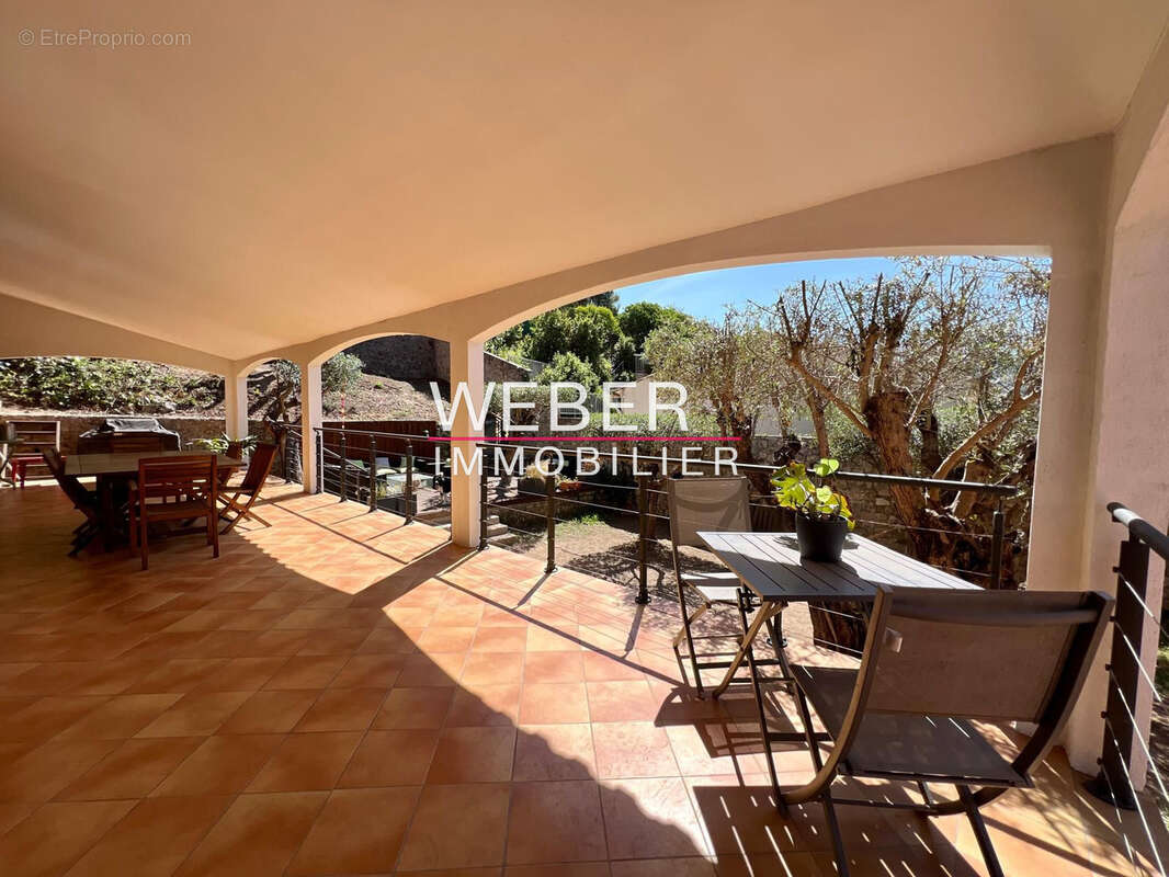 LE REVEST LES EAUX - Maison 182 m2 - 4 chambres Terrain 808 m2 - photo 3