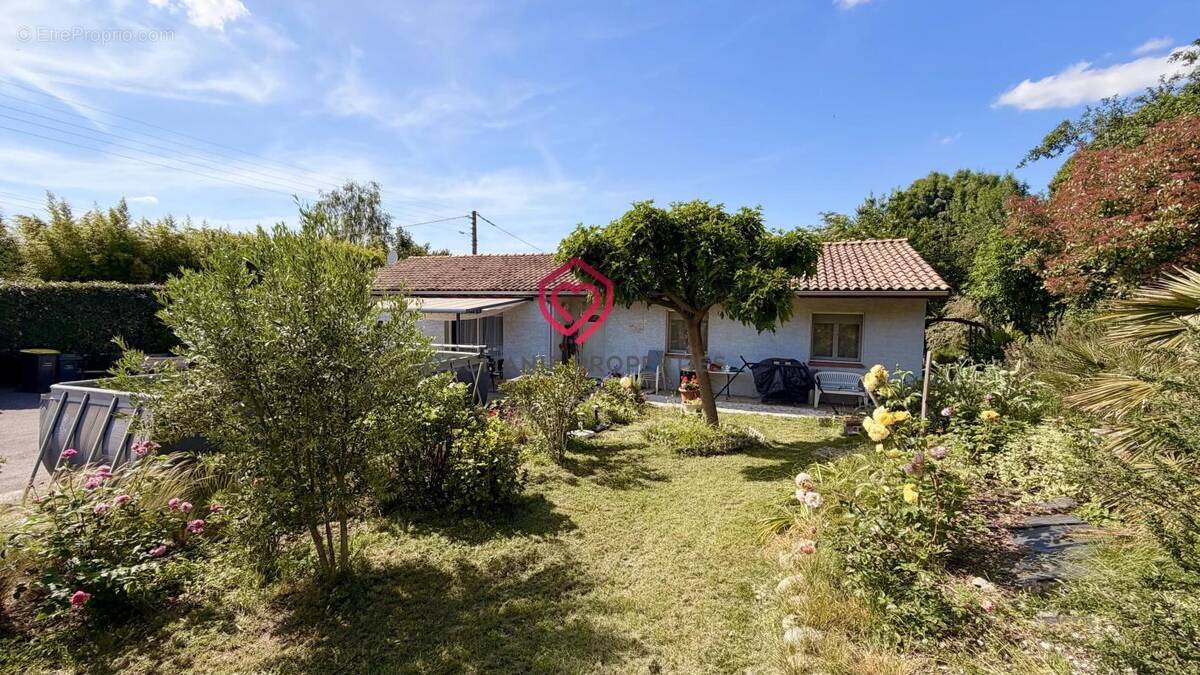 Maison à SAINT-JEAN-DU-FALGA
