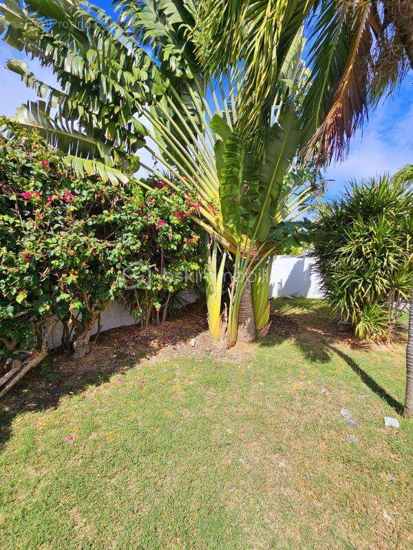 Maison à SAINT-FRANCOIS