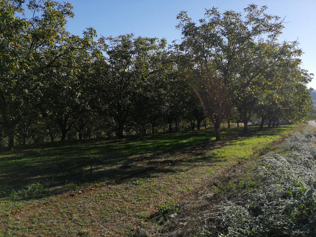 Terrain à GLANES