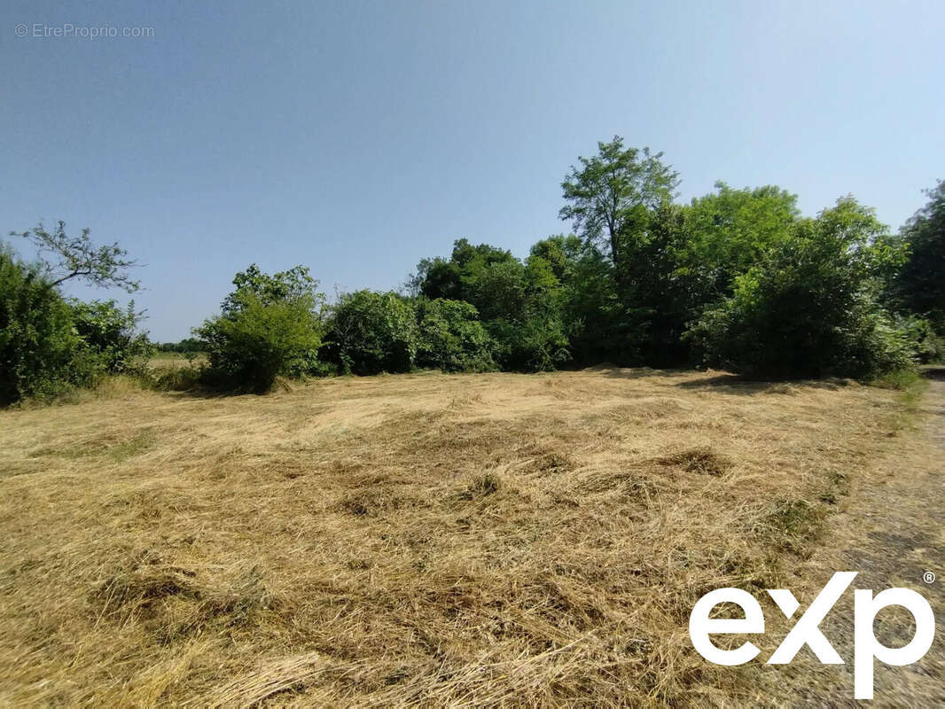 Terrain à CASTELNAU-MONTRATIER