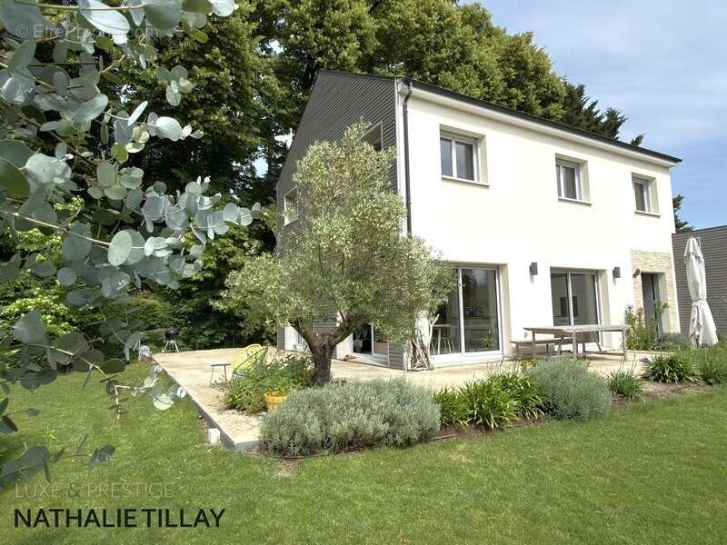 Maison à SAINT-JEAN-DE-BRAYE