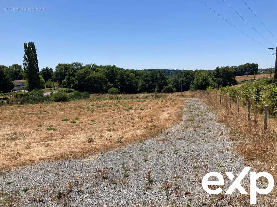 Terrain à THIVIERS