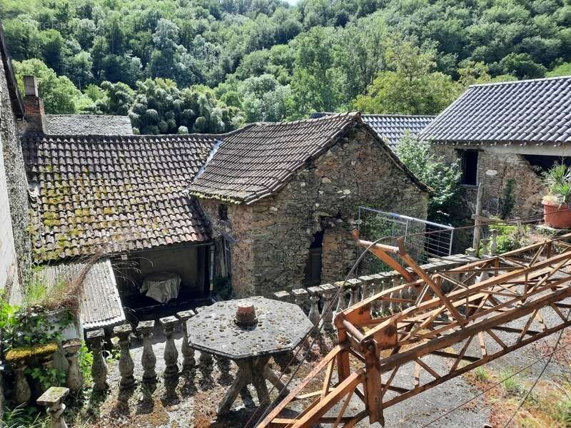 Crespin 12 800 - le pont de cirou - photo 10