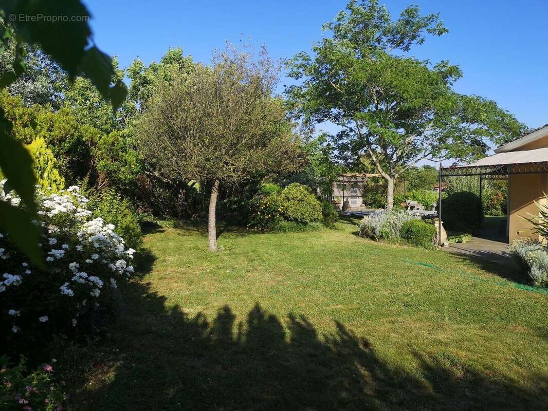 Photo 5 - Maison à SAINTE-FOY-D'AIGREFEUILLE