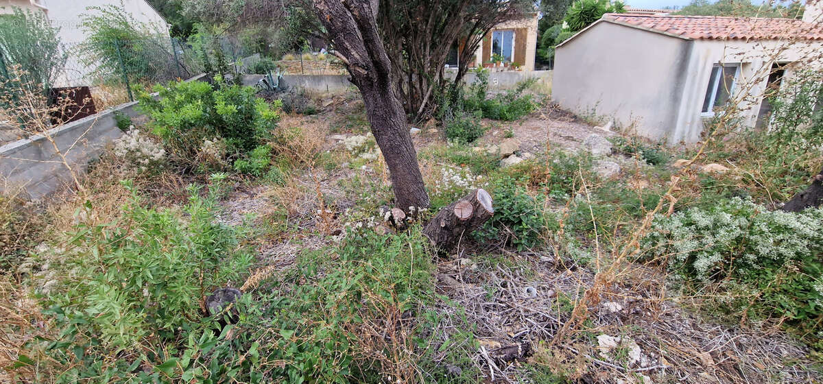 Terrain à LA CIOTAT