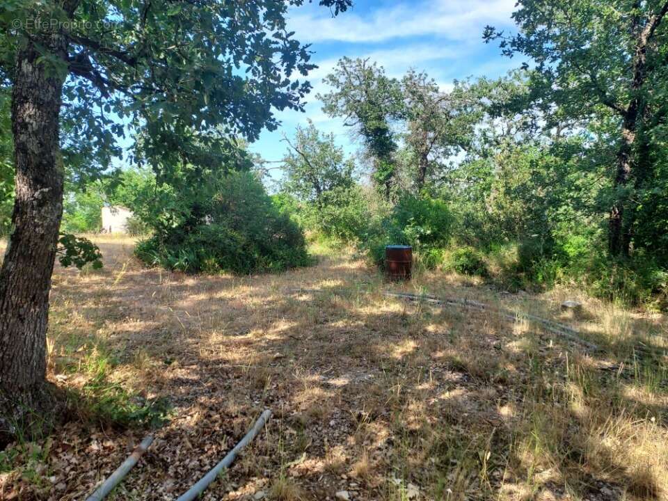 Terrain 1100 m² à Neoules  - photo 4