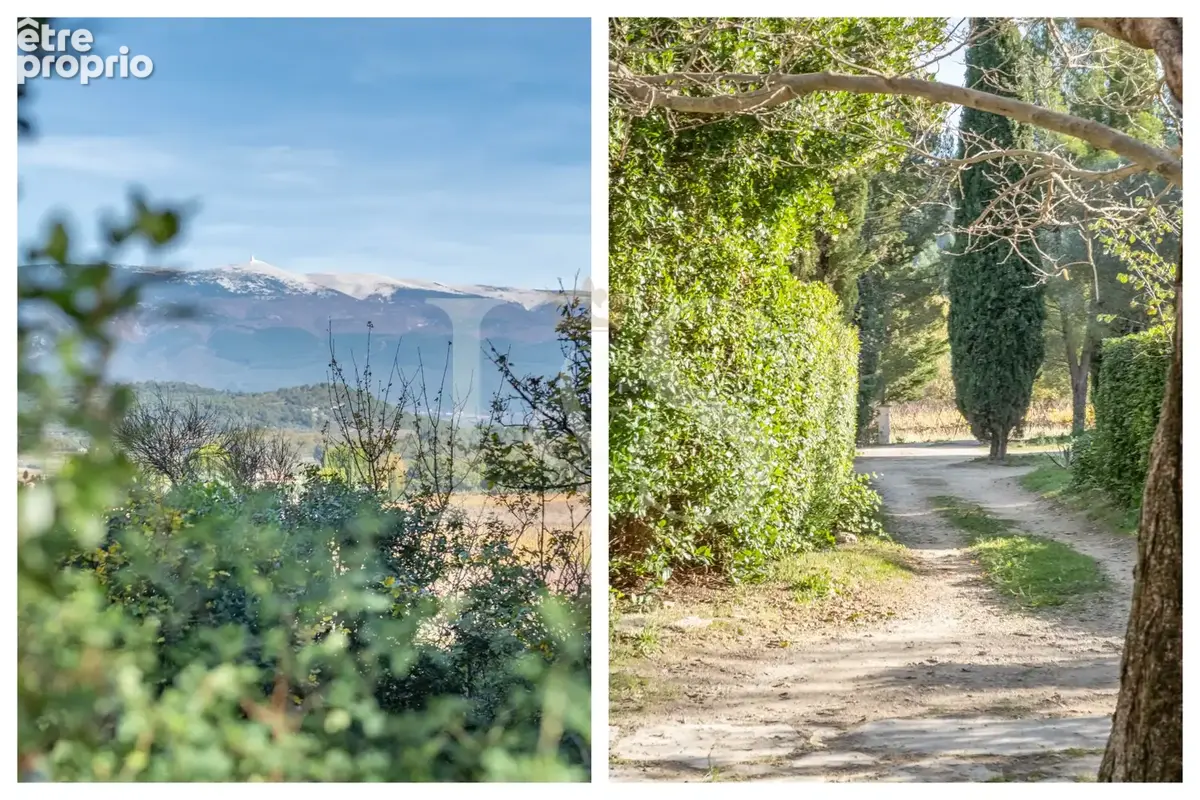 Mas de caractère avec vue sur le Mont Ventoux   9 060 M2 de terrain - photo 7