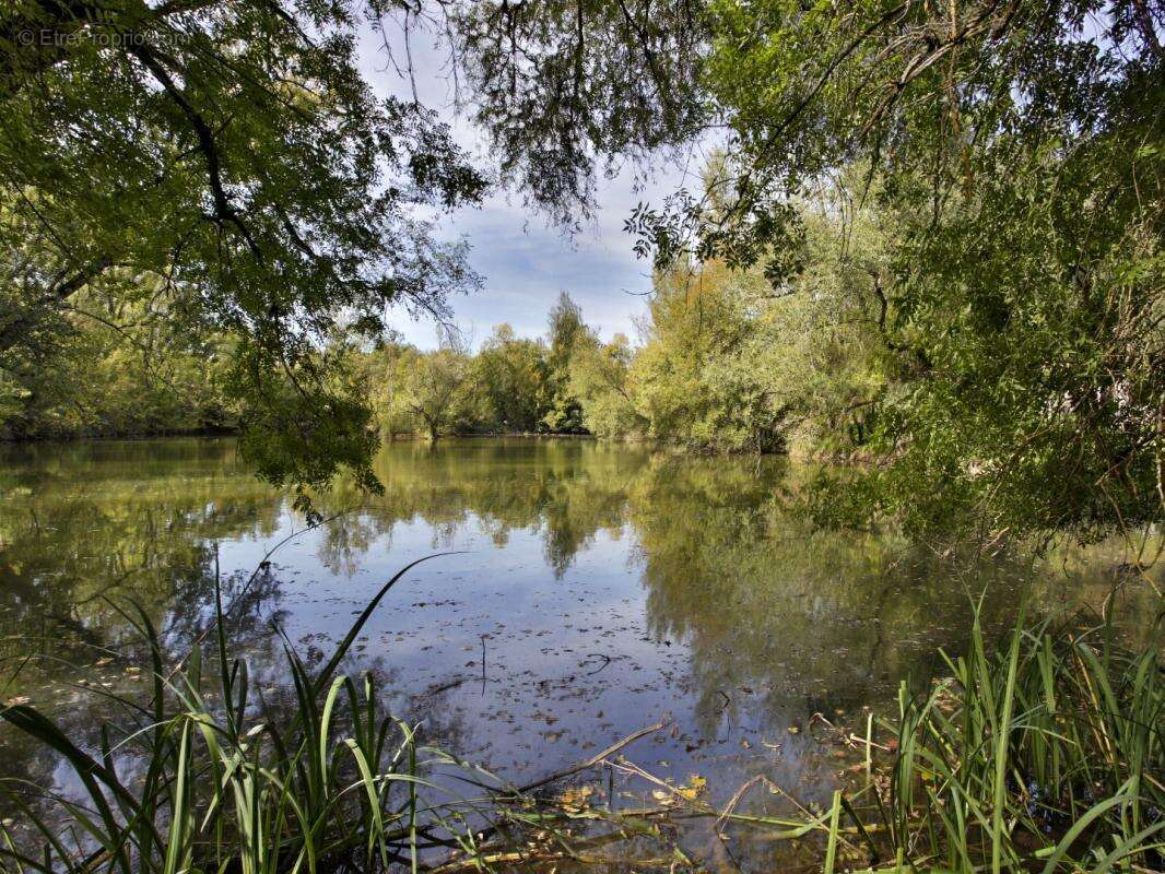 Ancien moulin au bord d’un lac - photo 5