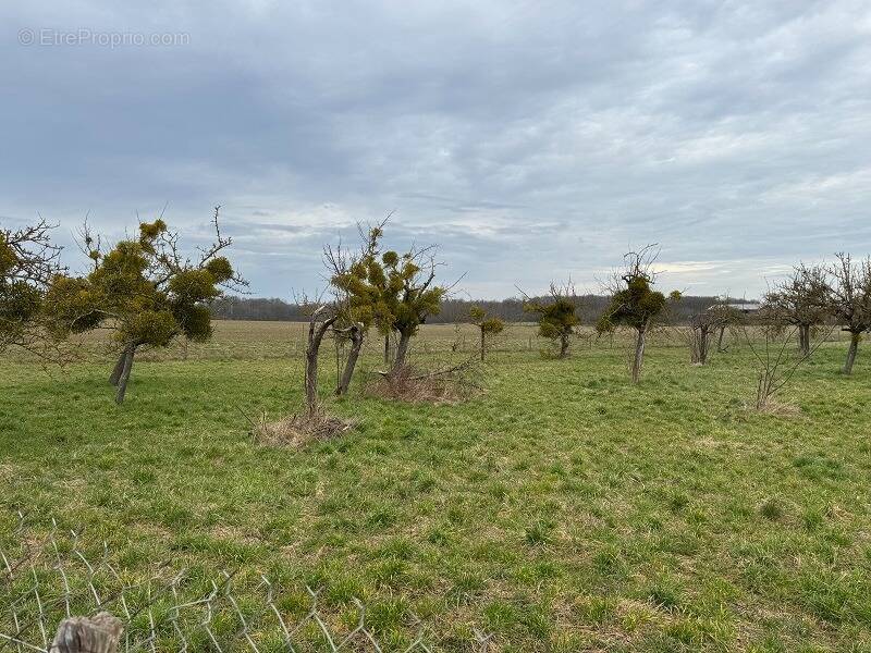 Terrain à BU