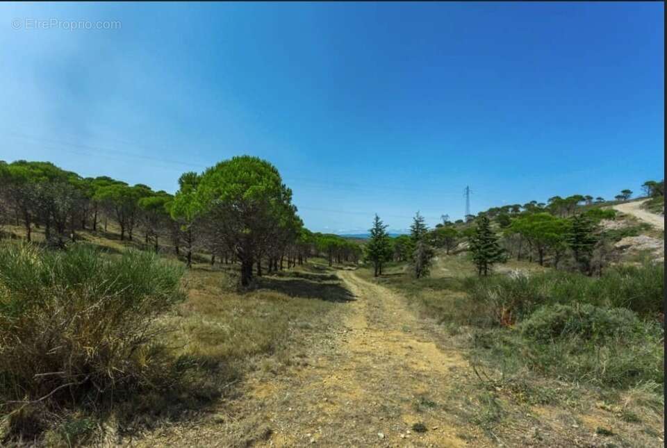 Terrain à NARBONNE
