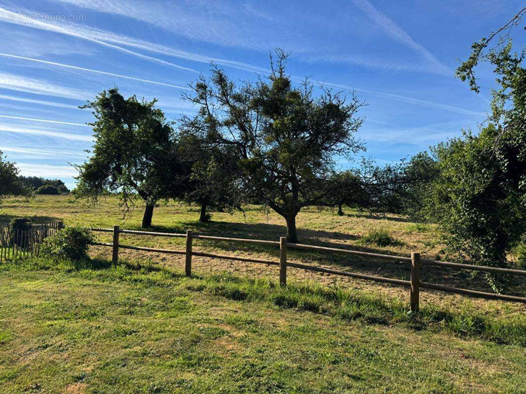 Maison à vendre à Landevant - Réf. 9142 - 5 pièces, 155 m² sur 2 hectares - photo 7