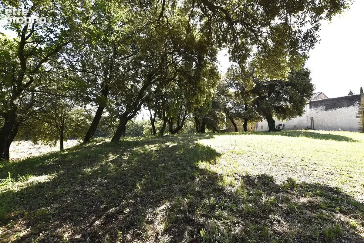 Maison 10 pièces 255 m² à vendre à Serignan-Du-Comtat (84830) - photo 9