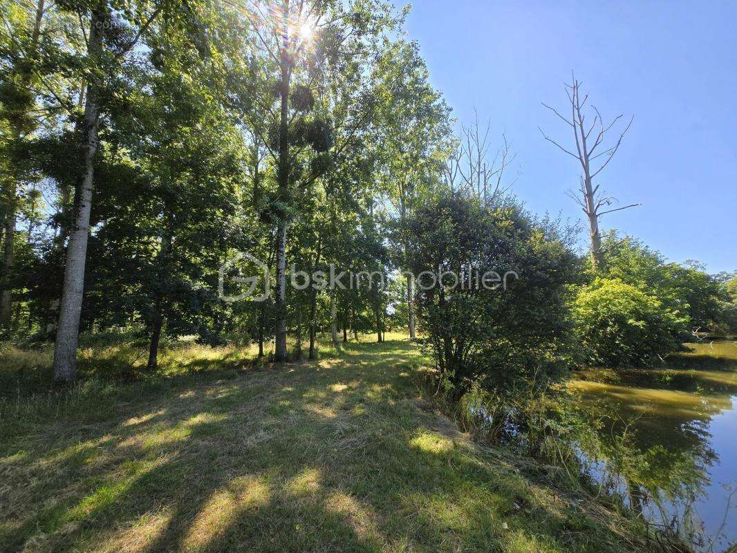 Axe Laval Mayenne Evron terrain 4,5 ha avec étangs - photo 5