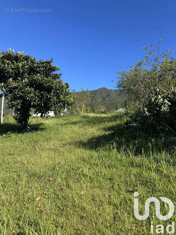 Photo 2 - Terrain à SAINT-LOUIS