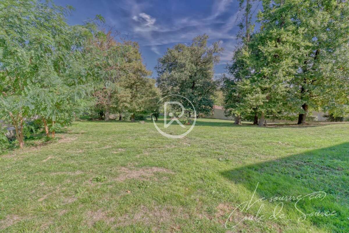 Terrain Toulouse - Maison à DAUX