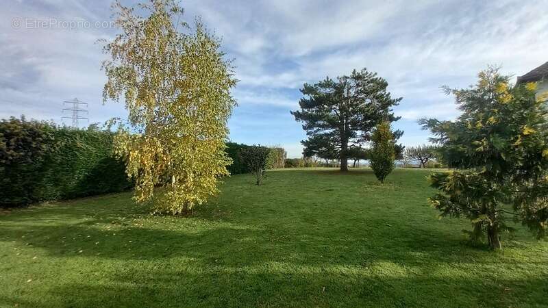 Maison à MONTBAZENS